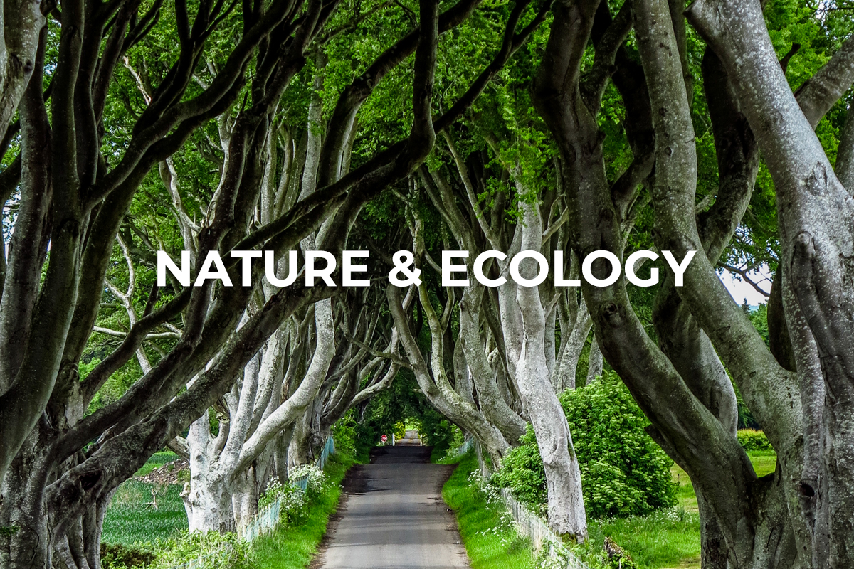 SMBI Nature & Ecology Banner
